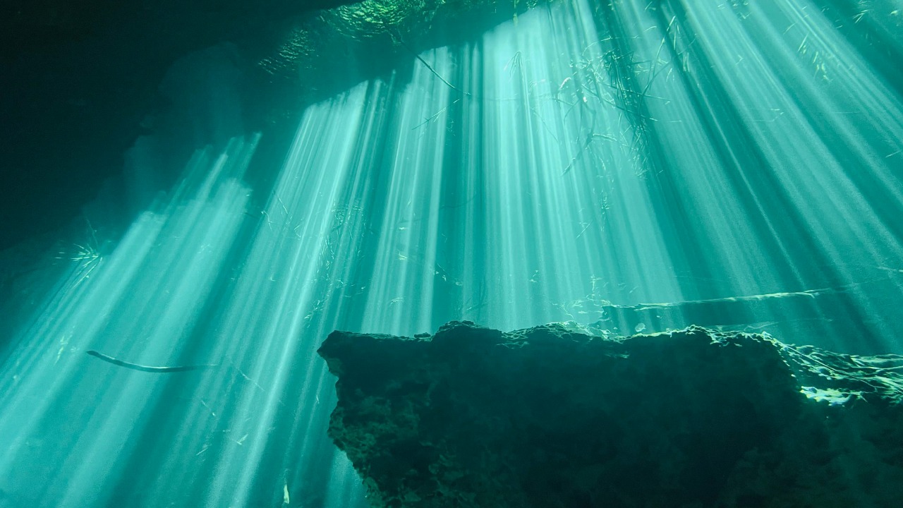 Francisco Davids/Pexels