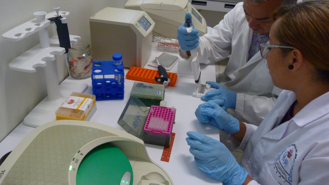 Image Credit: Aldo Tadeo Suárez Guido - CC BY-SA 4.0/Wiki Commons