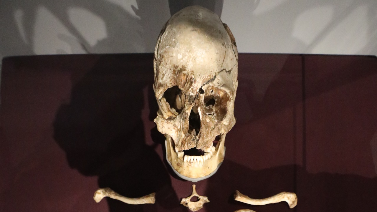 Image Credit: Geni - CC BY-SA 4.0/Wiki Commons