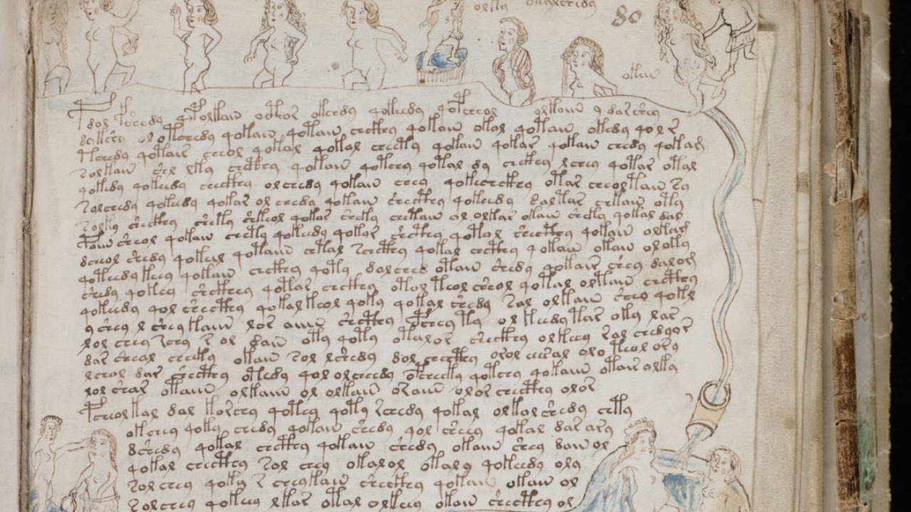 Image Credit: Unknown authorUnknown author - Public domain/Wiki Commons