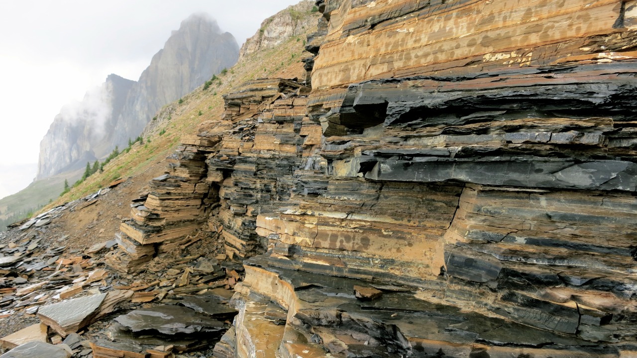 Image Credit: Edna Winti - CC BY 2.0/Wiki Commons