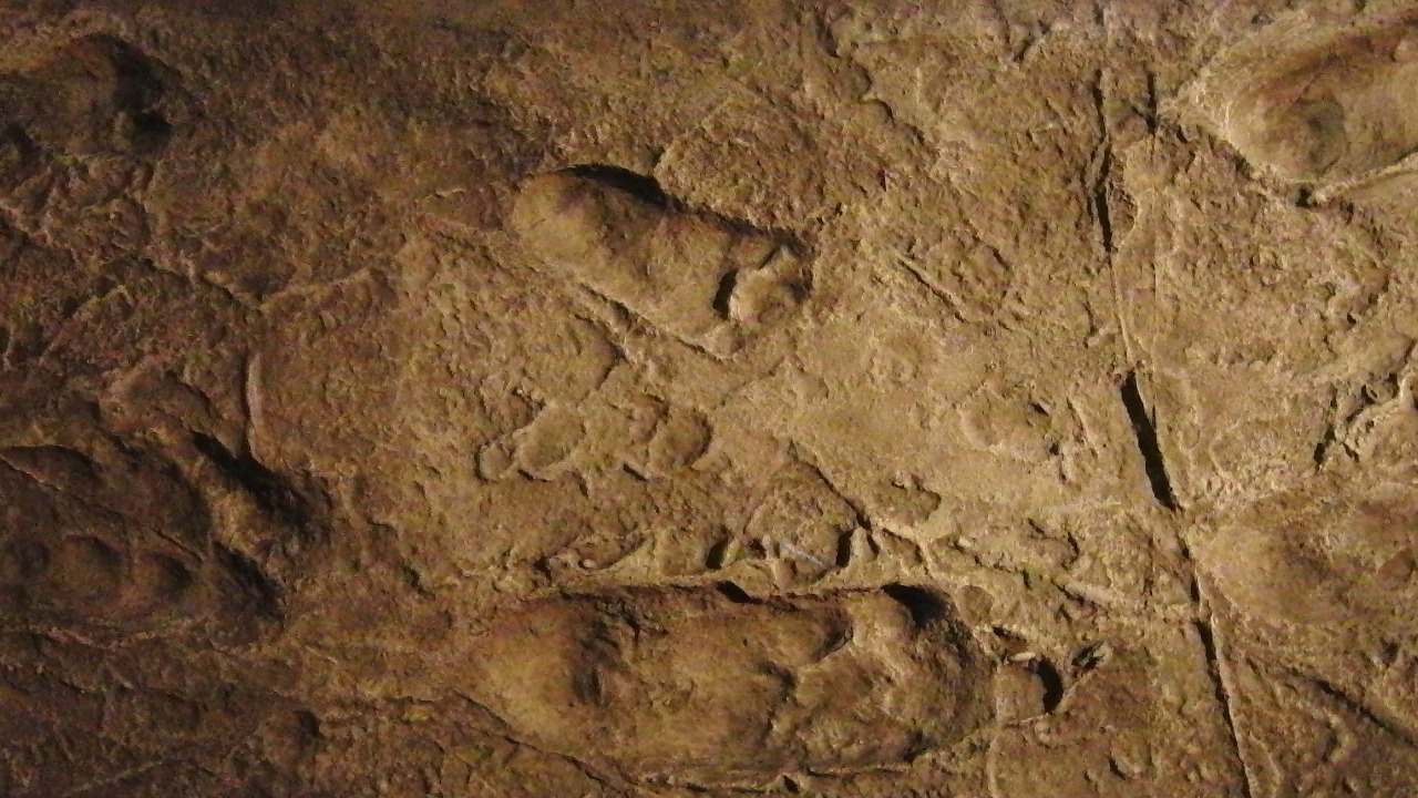 Image Credit: Momotarou2012 - CC BY-SA 3.0/Wiki Commons