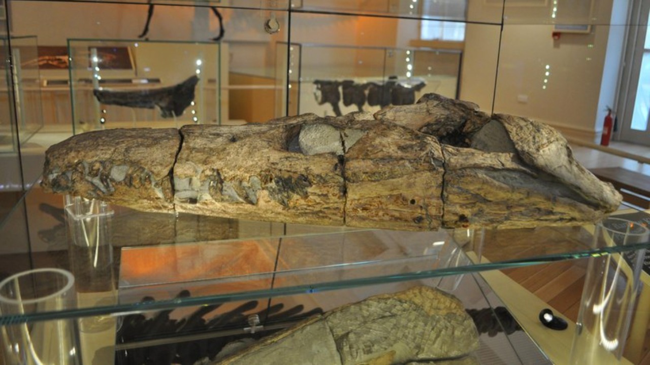 Image Credit: Ashley Dace - CC BY-SA 2.0/Wiki Commons