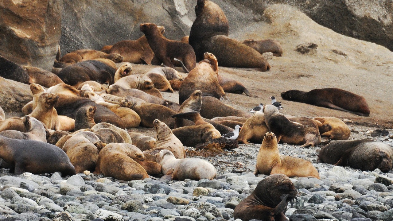 Frans van Heerden/Pexels