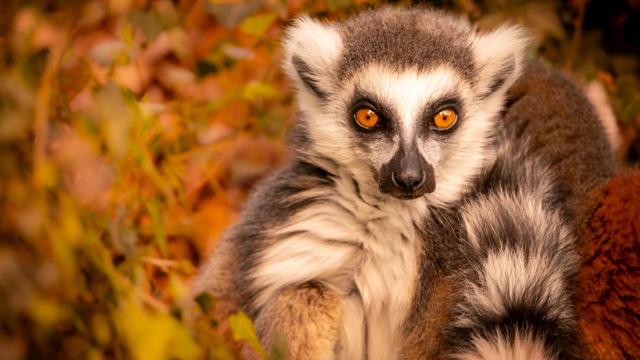 L'oeil à deux Vanessa et cédric/Pexels