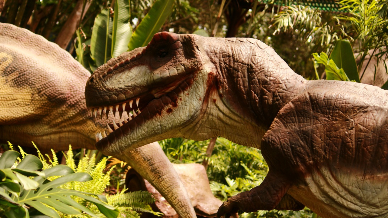 iamblondfox/Unsplash