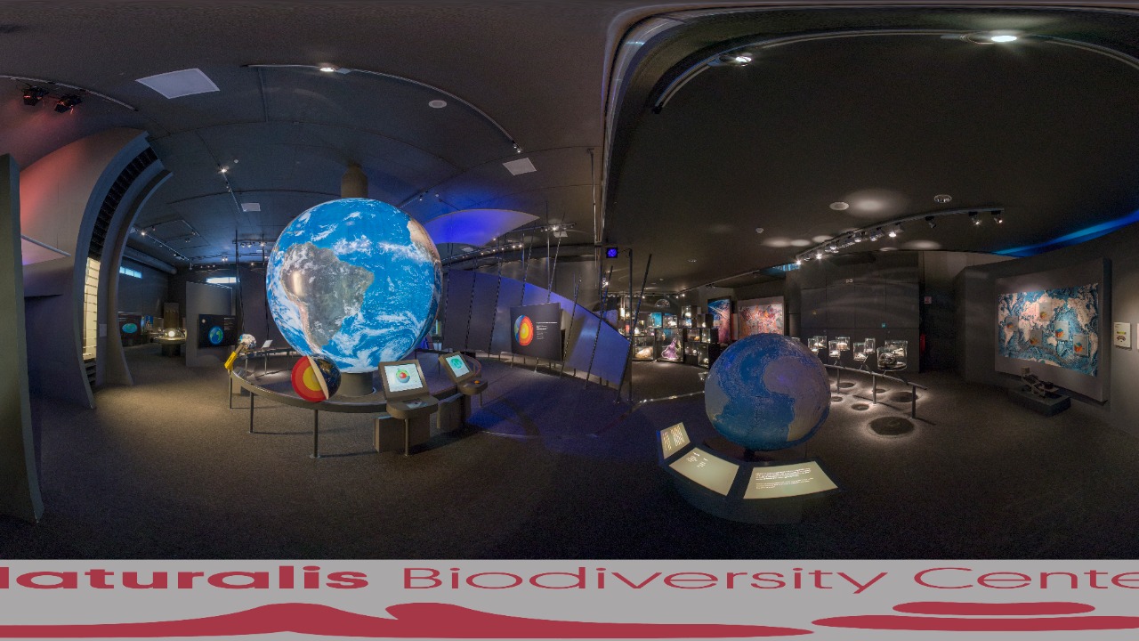 Image Credit: Henk Caspers/Naturalis Biodiversity Center - CC BY-SA 3.0/Wiki Commons