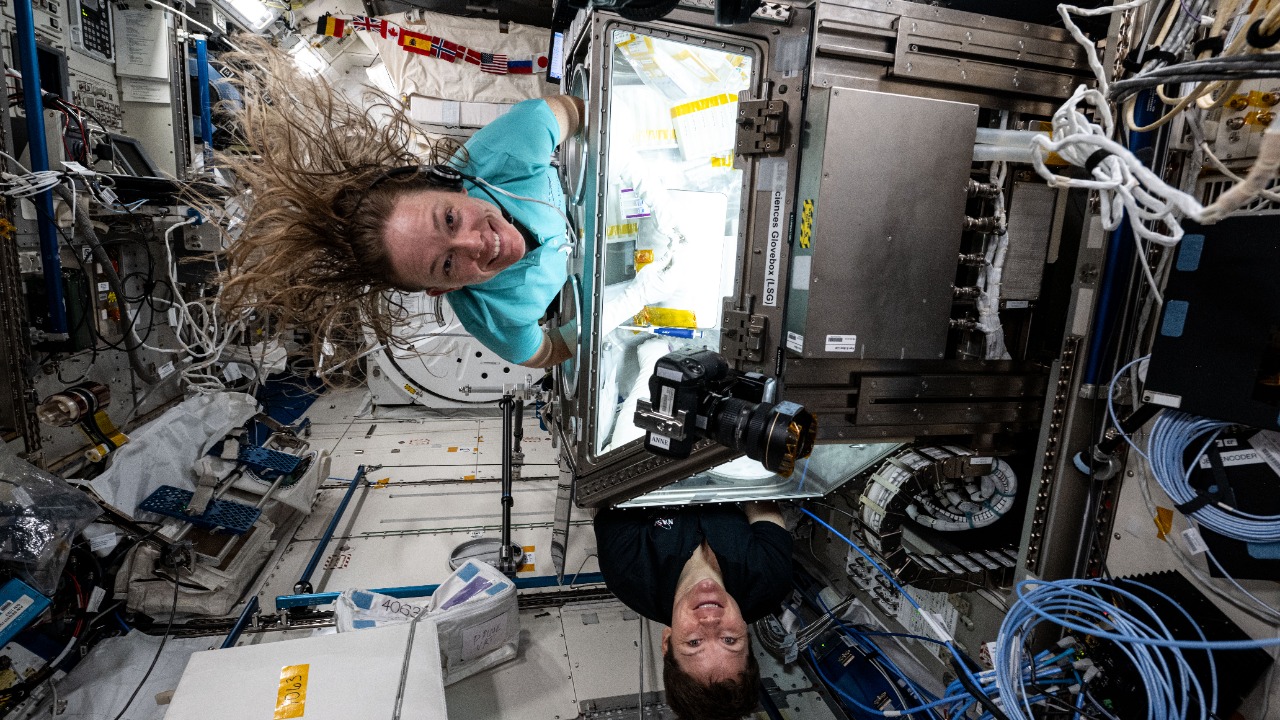 Image Credit: NASA Johnson Space Center - Public domain/Wiki Commons