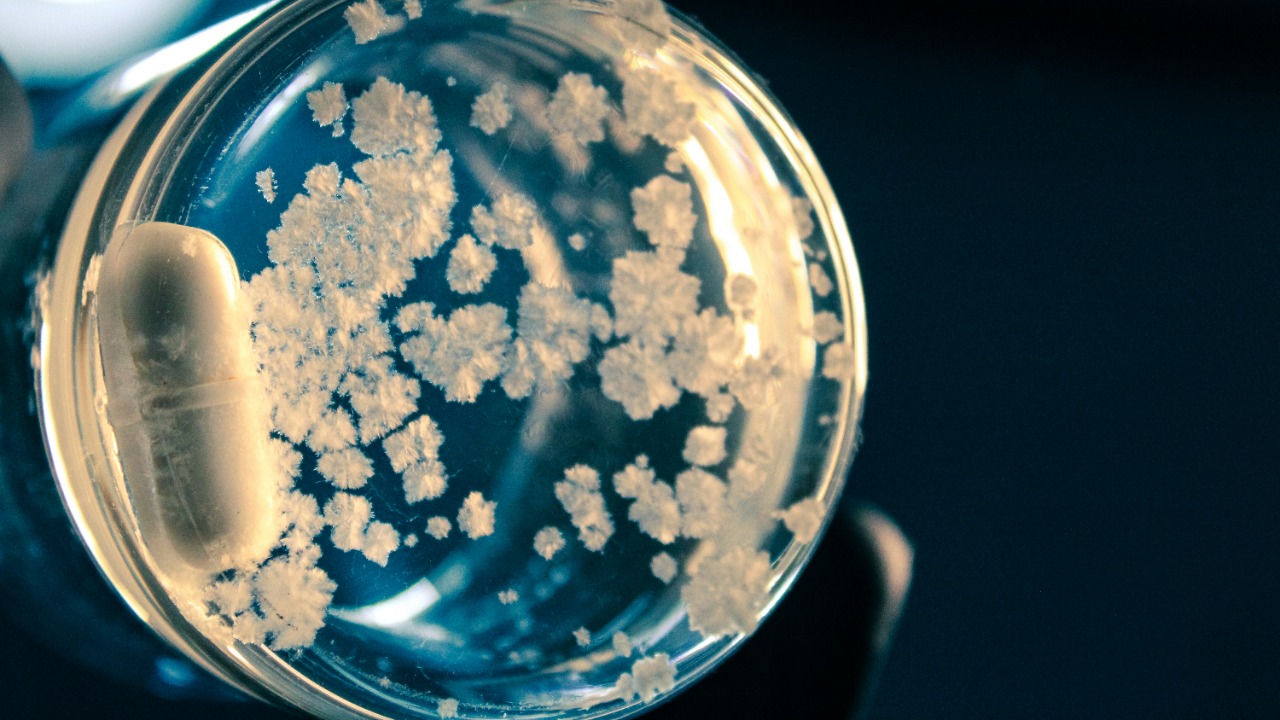 scentspiracy/Unsplash