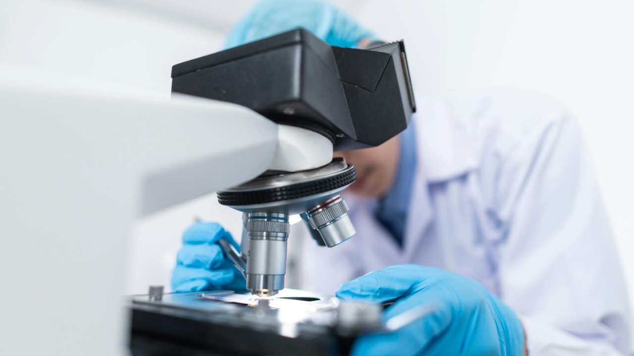 Chokniti Khongchum/Pexels
