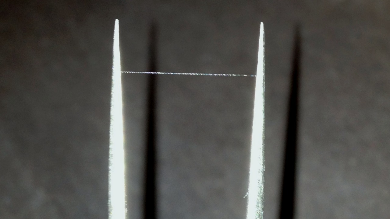 Image Credit: K8joc8ohGee9j - CC BY-SA 3.0/Wiki Commons