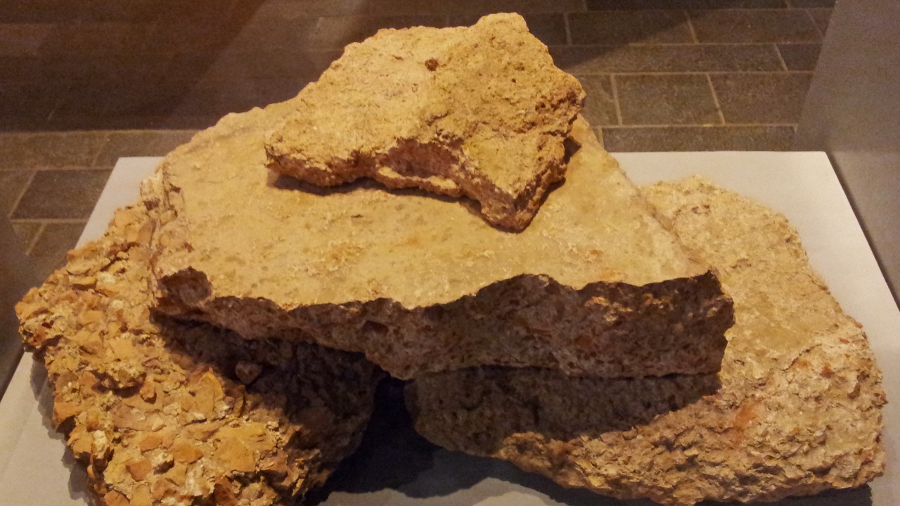 Image Credit: Kleon3 - CC BY-SA 4.0/Wiki Commons