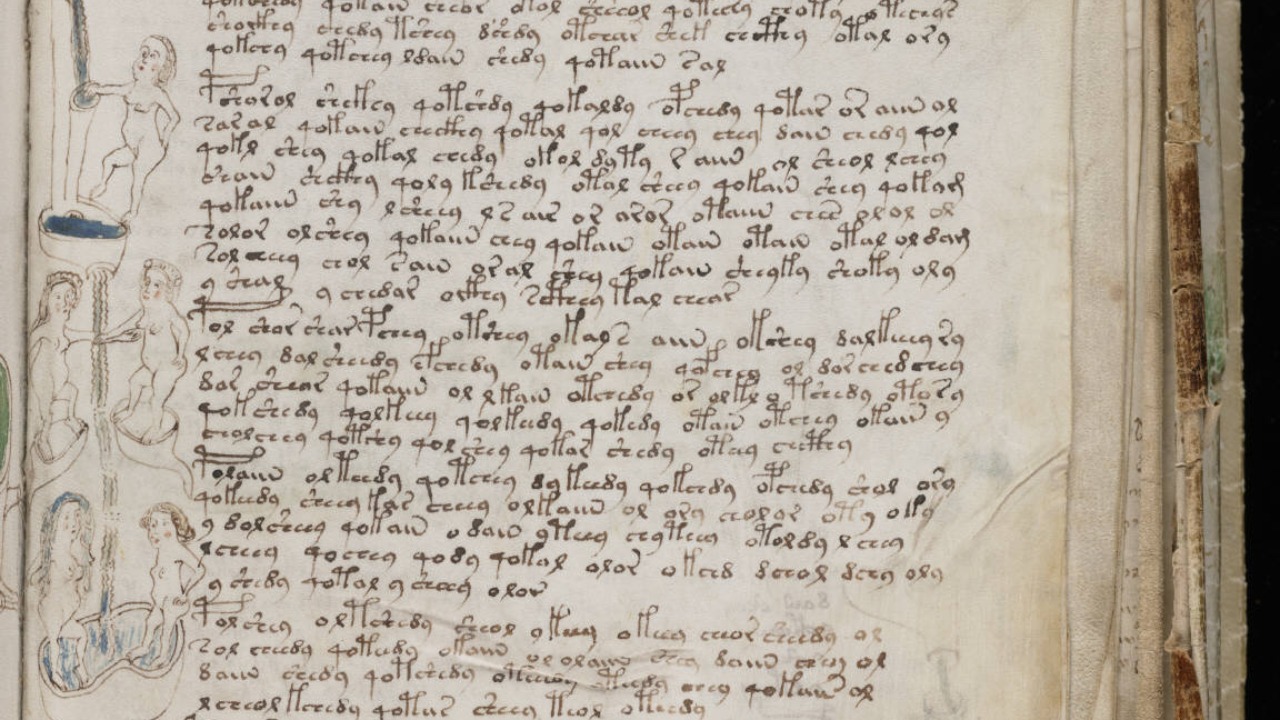 Image Credit: Unknown authorUnknown author - Public domain/Wiki Commons