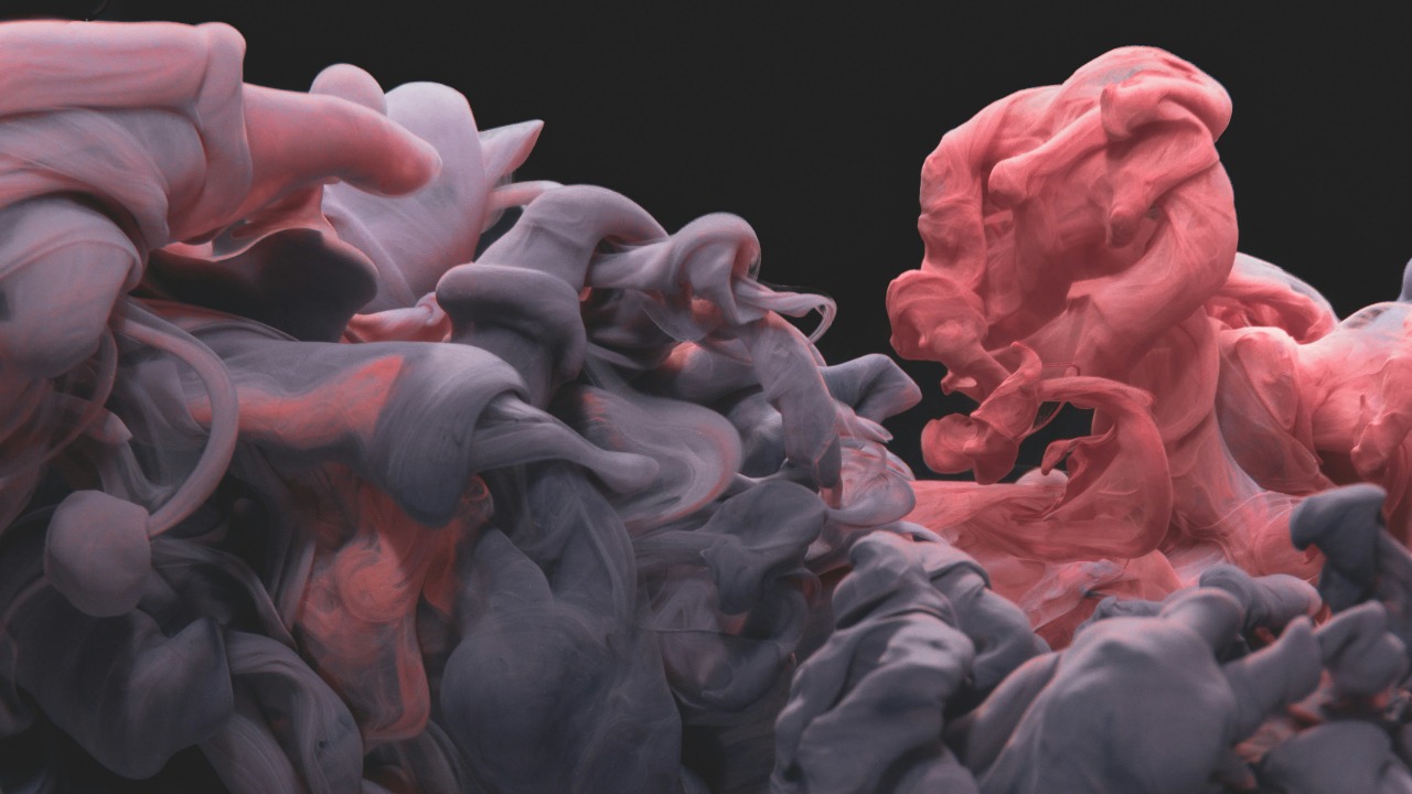 lightcircle/Unsplash