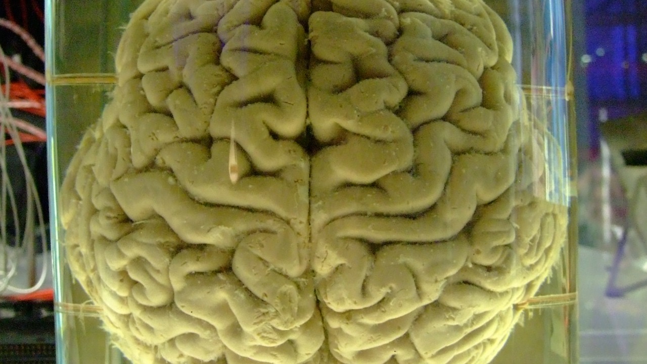 Image Credit: Gaetan Lee from London, UK - CC BY 2.0/Wiki Commons