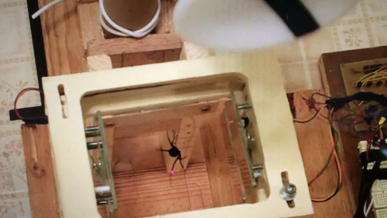 Image Credit: Jeffery Doud - CC BY-SA 4.0/Wiki Commons