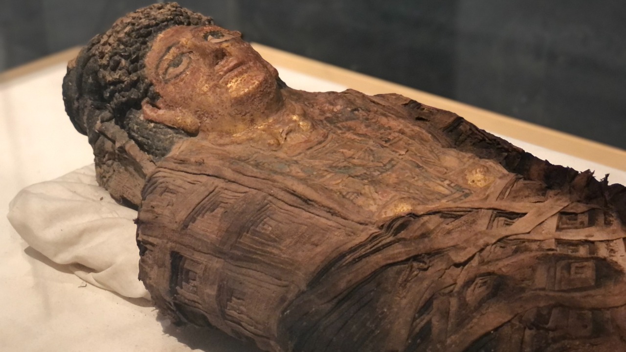 Image Credit: Viktor Lazić - CC BY-SA 4.0/Wiki Commons