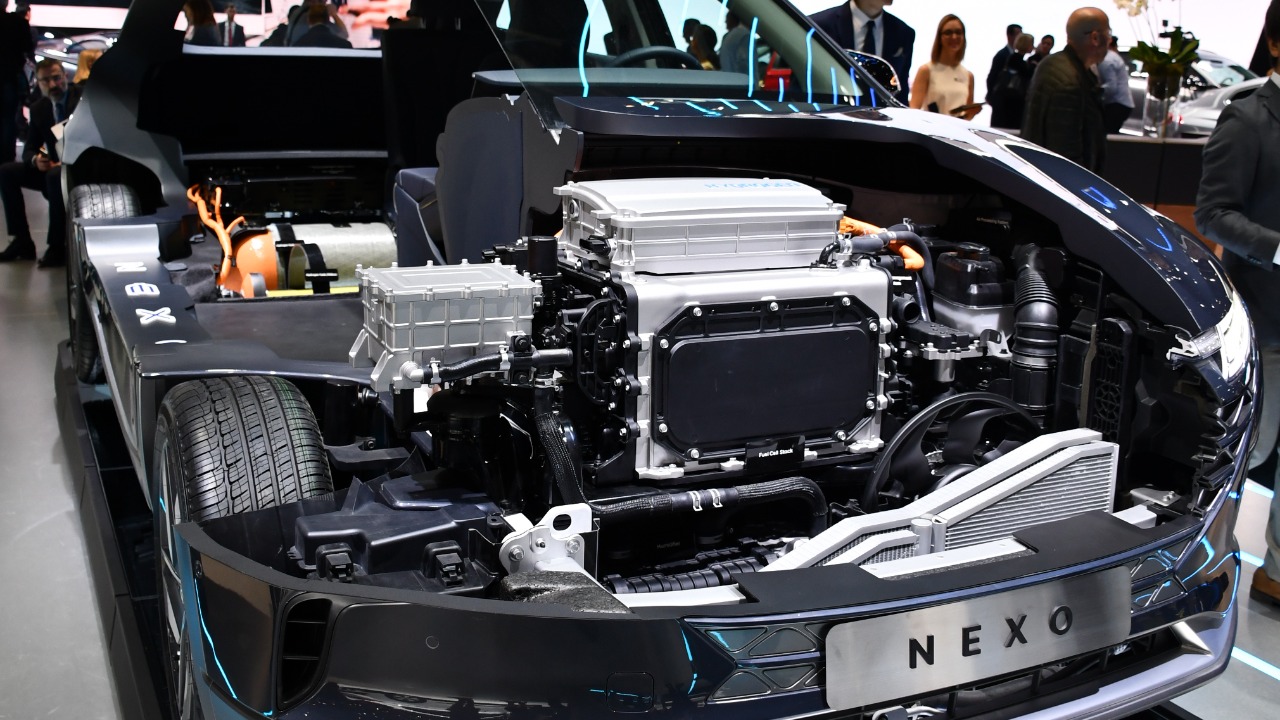 Image Credit: Dr. Artur Braun (Arturbraun) - CC BY-SA 4.0/Wiki Commons