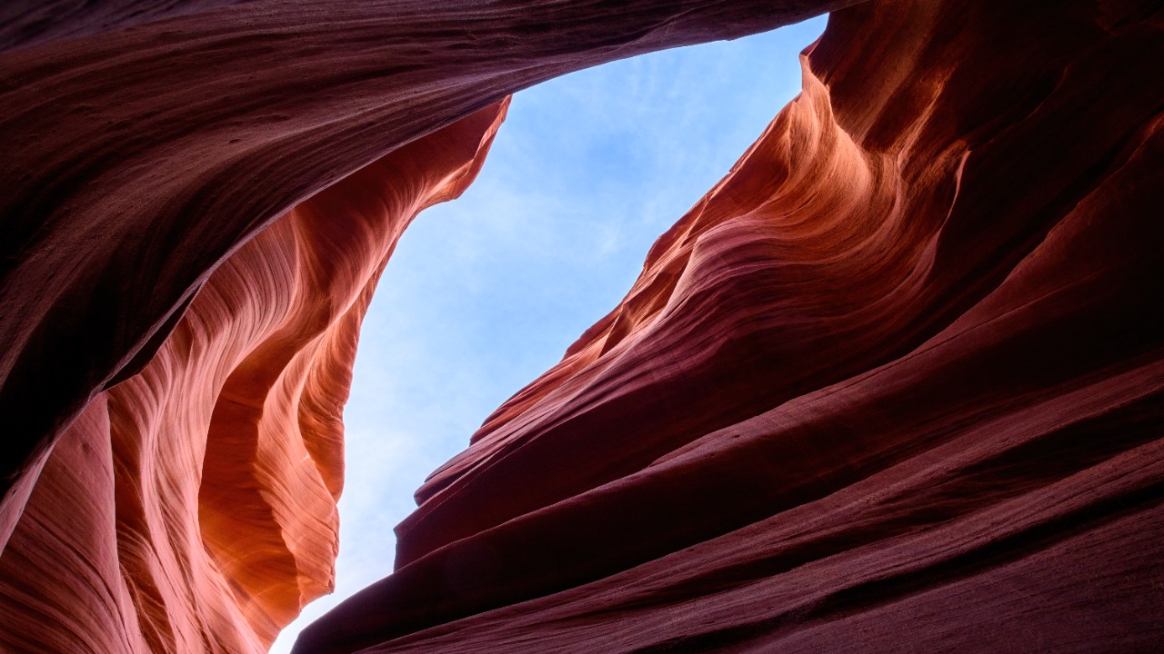 Image Credit: King of Hearts - CC BY-SA 4.0/Wiki Commons