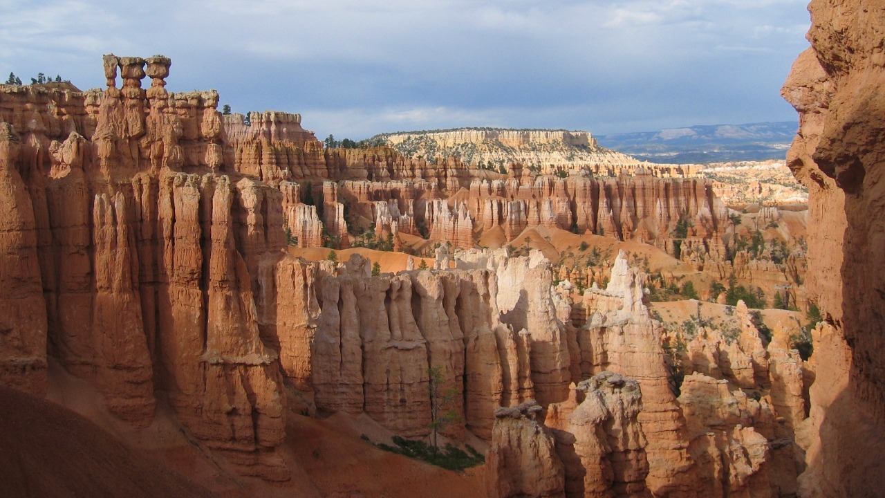 Image Credit: “Jon Zander (Digon3)” - CC BY-SA 3.0/Wiki Commons