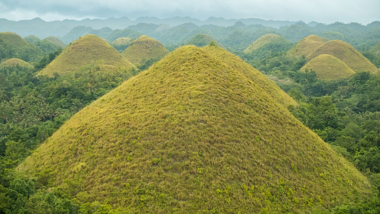 Image Credit: Eduardojr5 - CC BY-SA 4.0/Wiki Commons