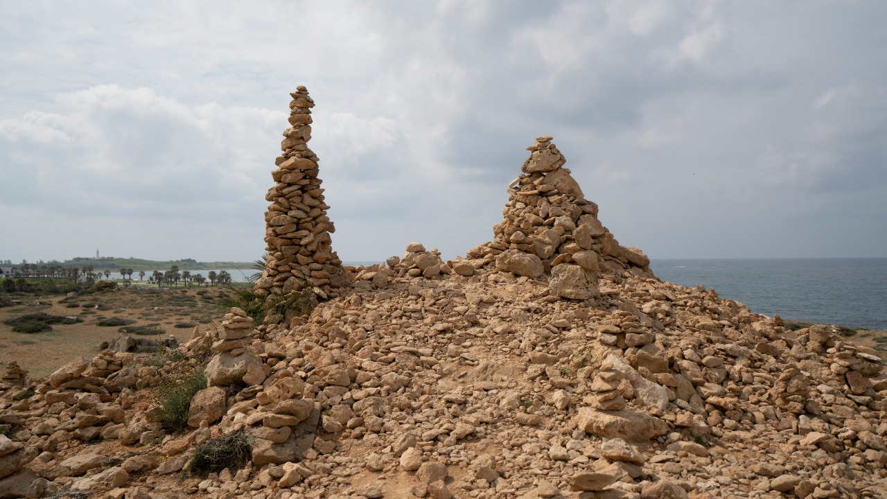 datingjungle/Unsplash