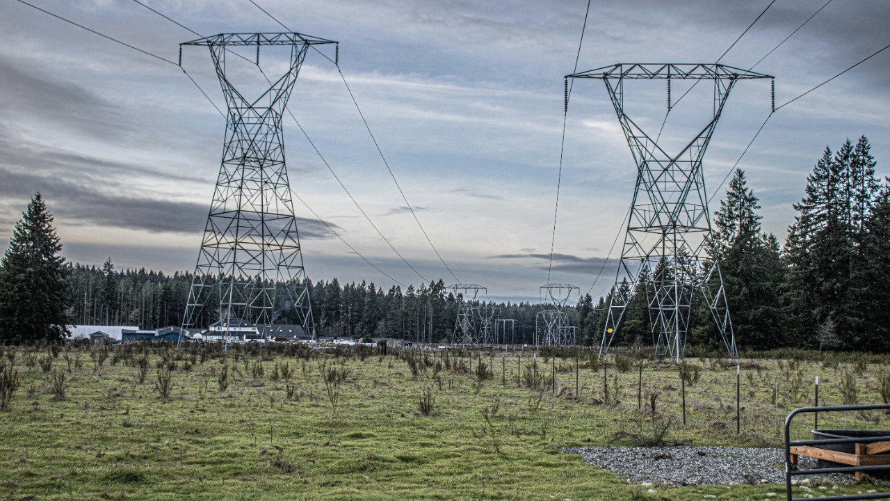 prphotography262/Unsplash