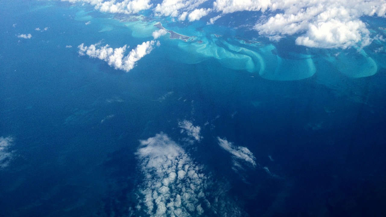 Image Credit: David Broad - CC BY 3.0/Wiki Commons