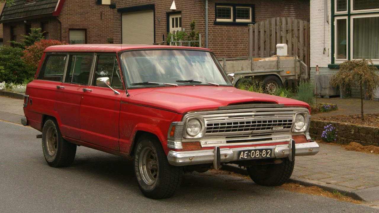 Image Credit: Niels de Wit from Lunteren, The Netherlands - CC BY 2.0/Wiki Commons