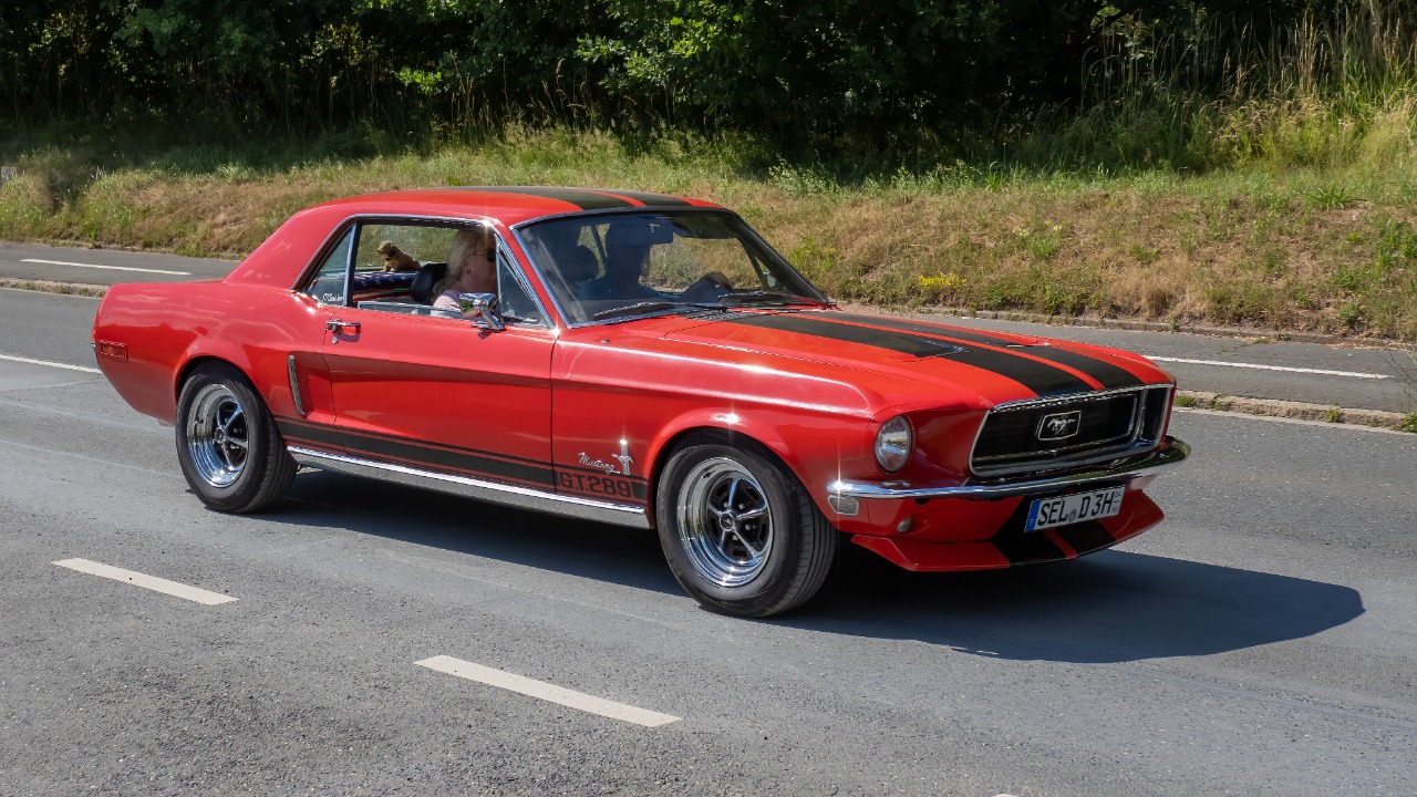 Image Credit: Ermell - CC BY-SA 4.0/Wiki Commons