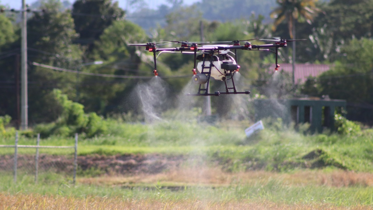 Image Credit: Christopher Hedreyd - PIA 4A CALABARZON - Public domain/Wiki Commons