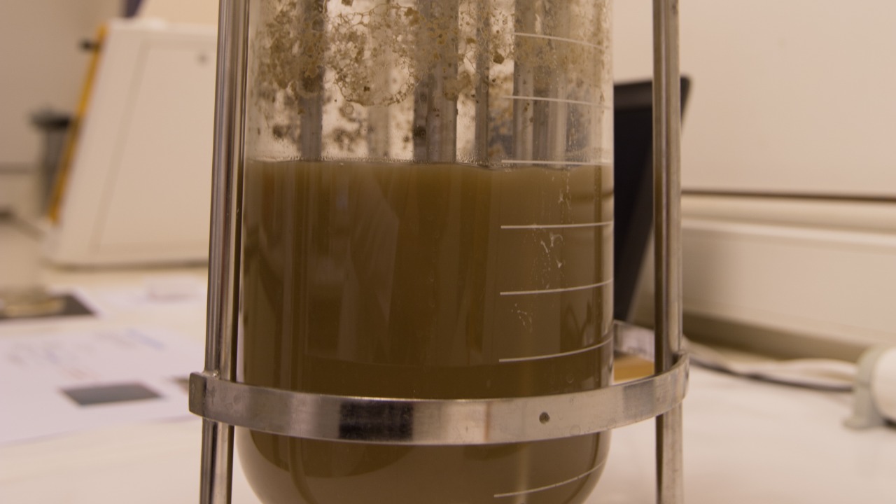 Image Credit: Stokkestijn - CC BY-SA 4.0/Wiki Commons