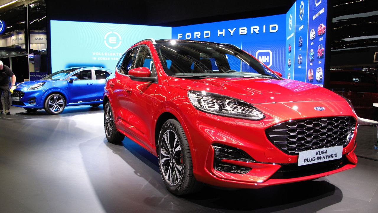 Image Credit: Rutger van der Maar from Leiden, The Netherlands - CC BY 2.0/Wiki Commons