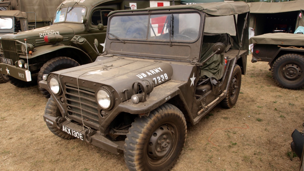 Image Credit: Alf van Beem - CC0/Wiki Commons