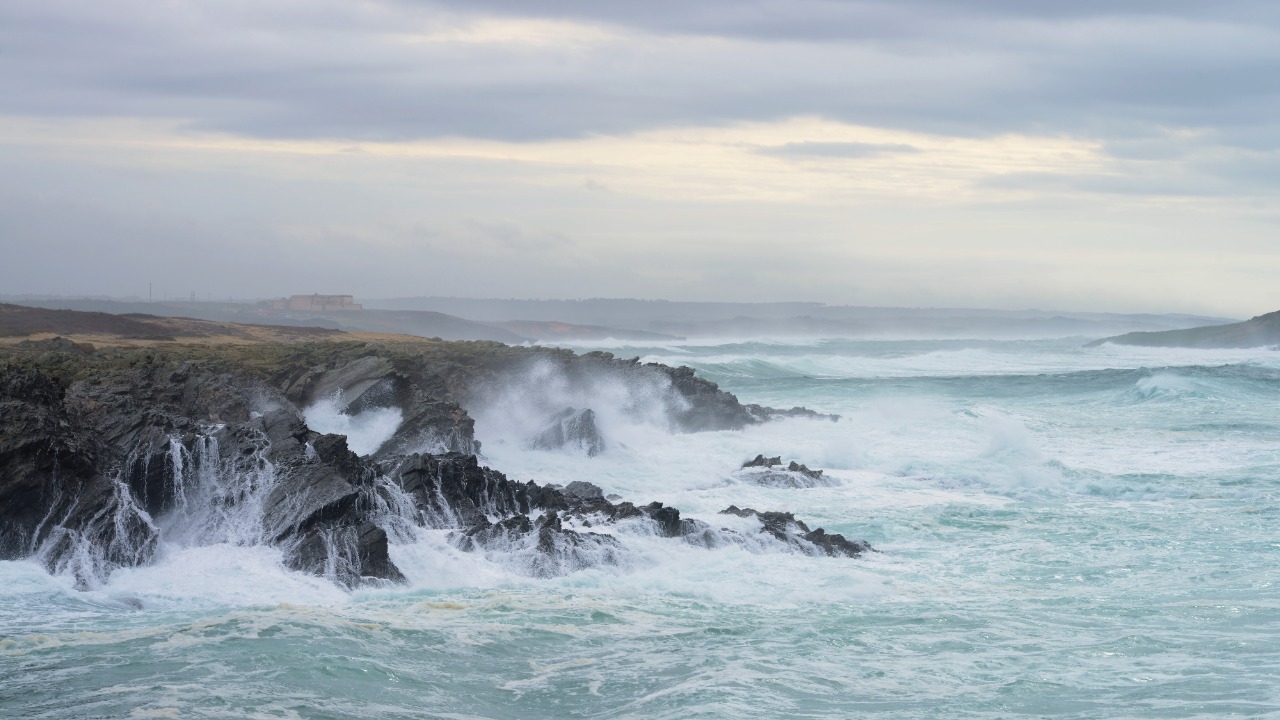 Image Credit: Alvesgaspar - CC BY-SA 3.0/Wiki Commons