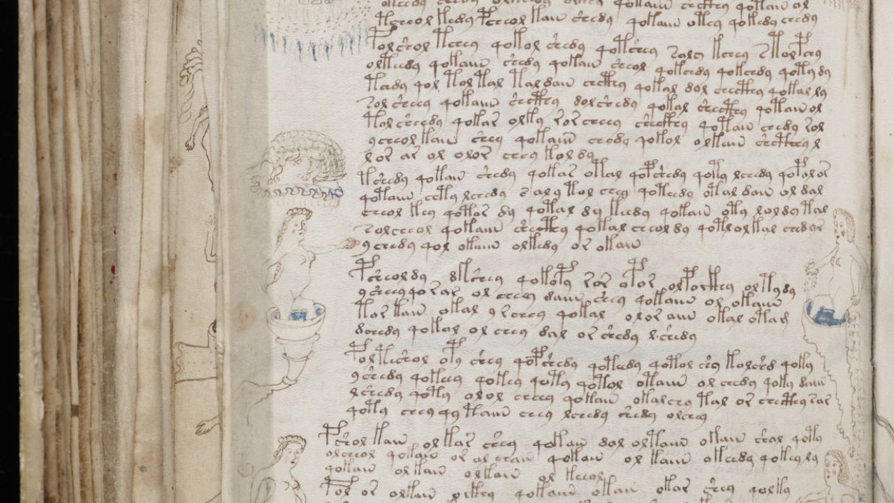 Image Credit: Unknown authorUnknown author - Public domain/Wiki Commons