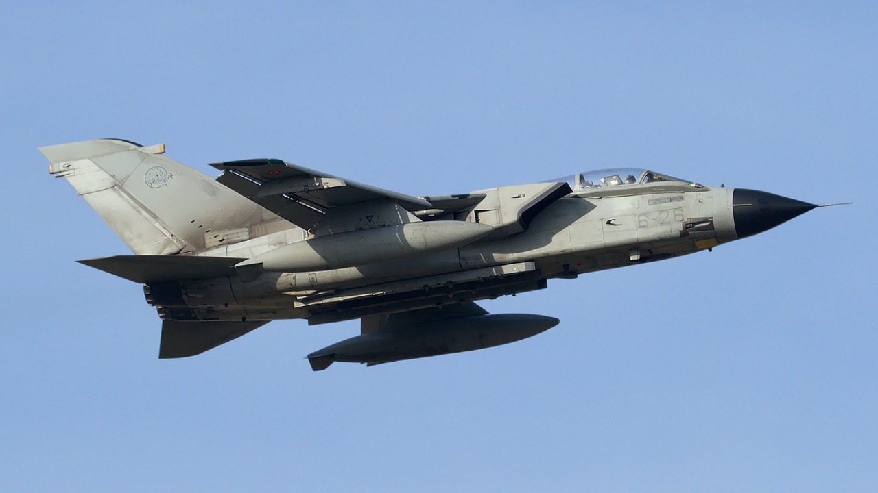 Image Credit: Fabrizio Berni - GFDL/Wiki Commons