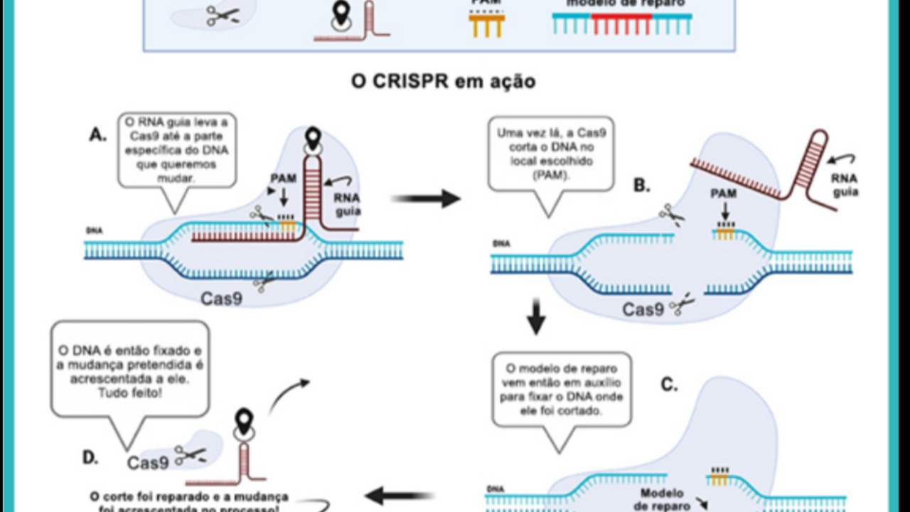 Image Credit: Anna Drangowska-Way, Caitlin M. A. Simopoulos, Carla Bautista, Elisabeth Marnik, Thomas J. S. Merritt - CC BY 4.0/Wiki Commons