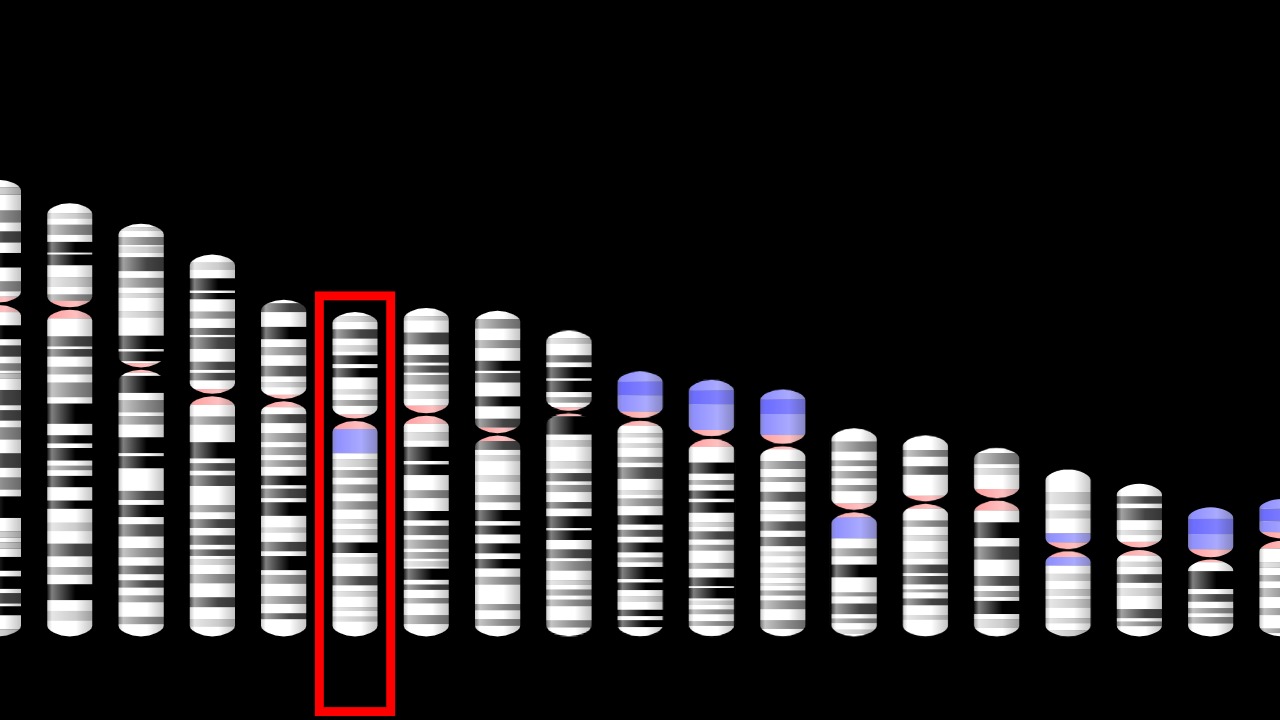 Image Credit: National Center for Biotechnology Information, U.S. National Library of Medicine - Public domain/Wiki Commons