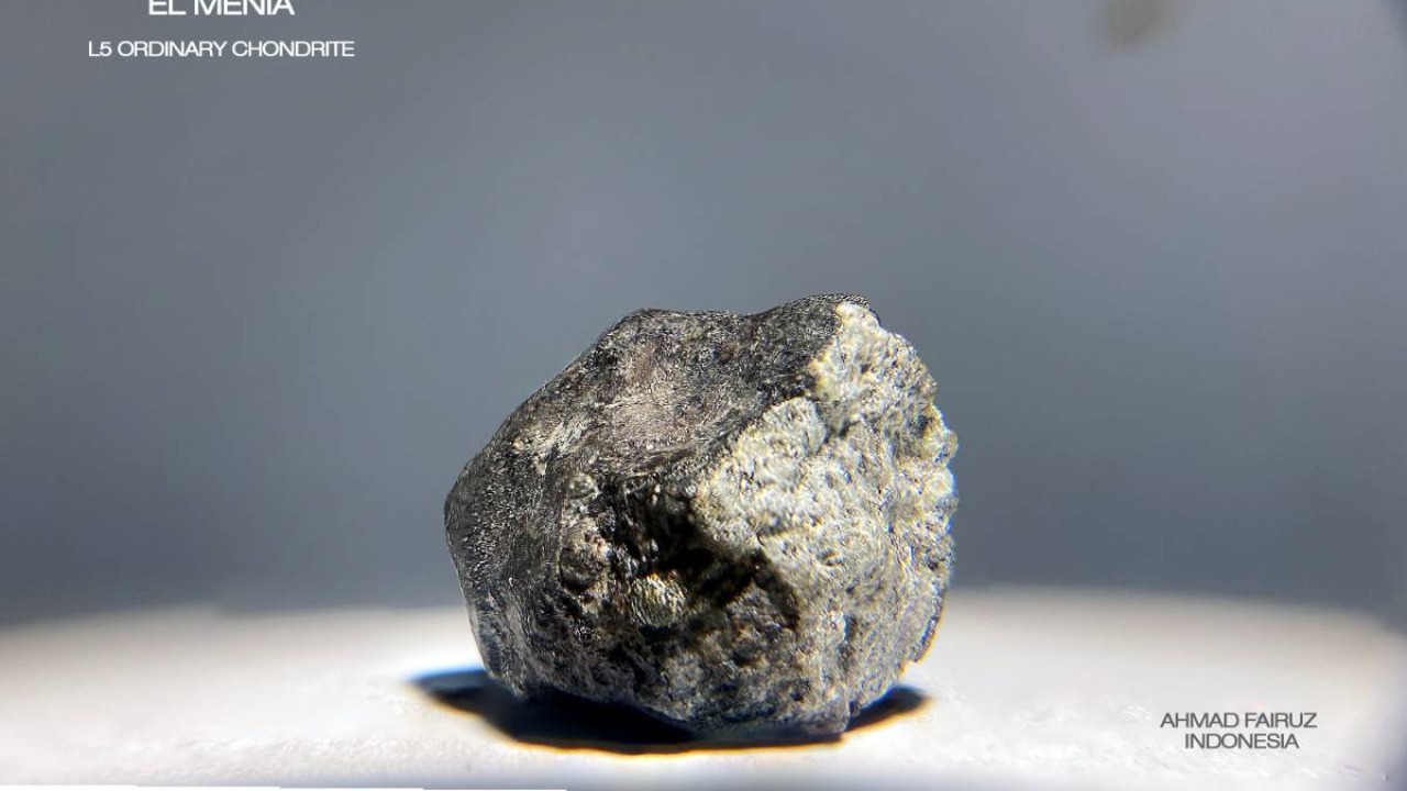 Image Credit: Ahmad Fairuz - CC BY 4.0/Wiki Commons