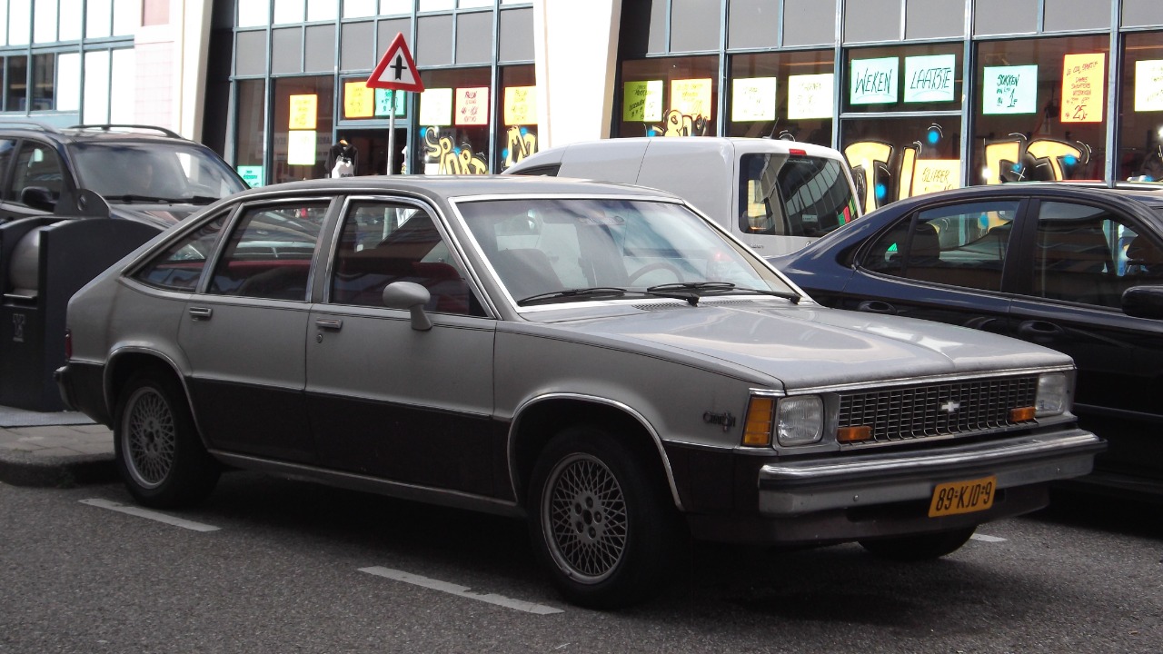 Image Credit: Dennis Elzinga - CC BY 2.0/Wiki Commons