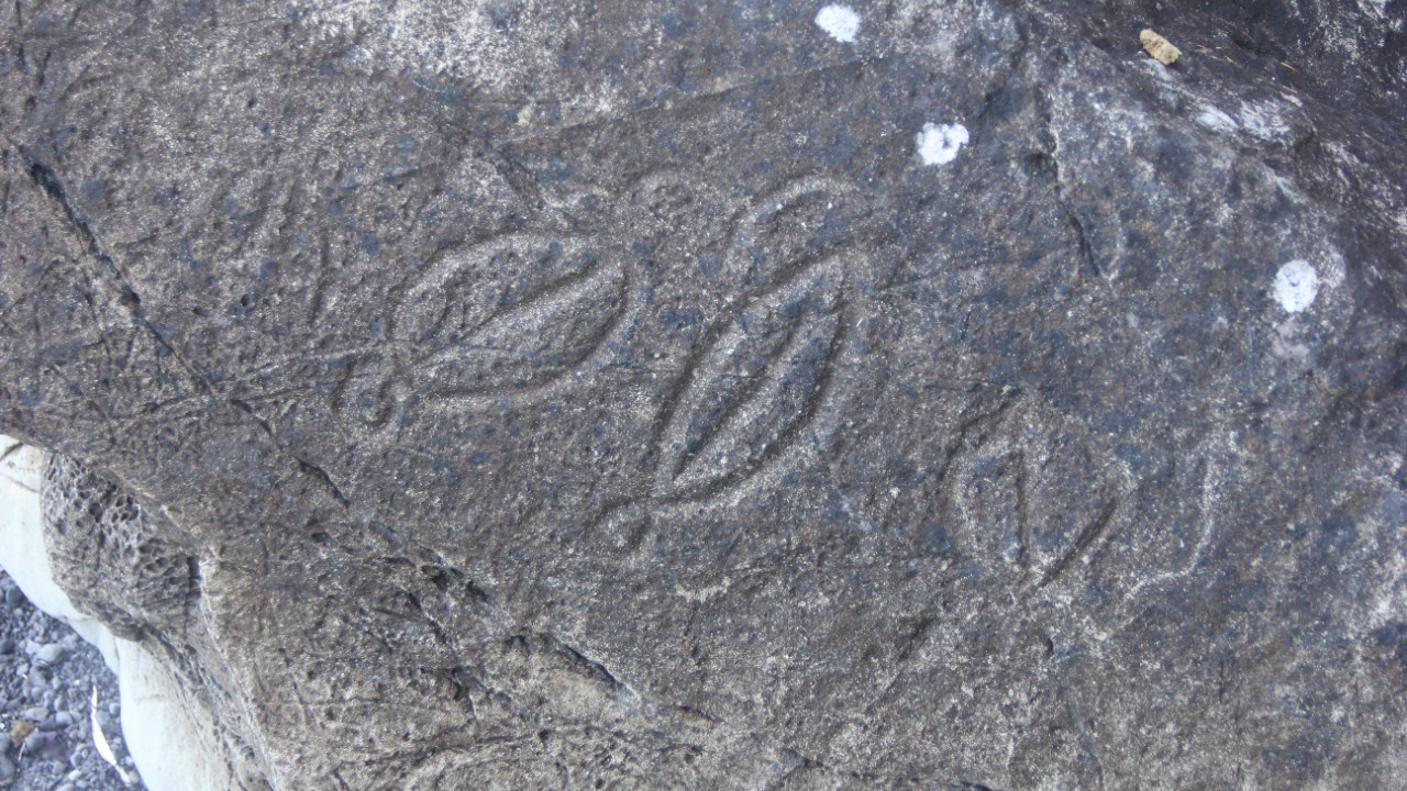 Image Credit: Olympic National Park - Public domain/Wiki Commons