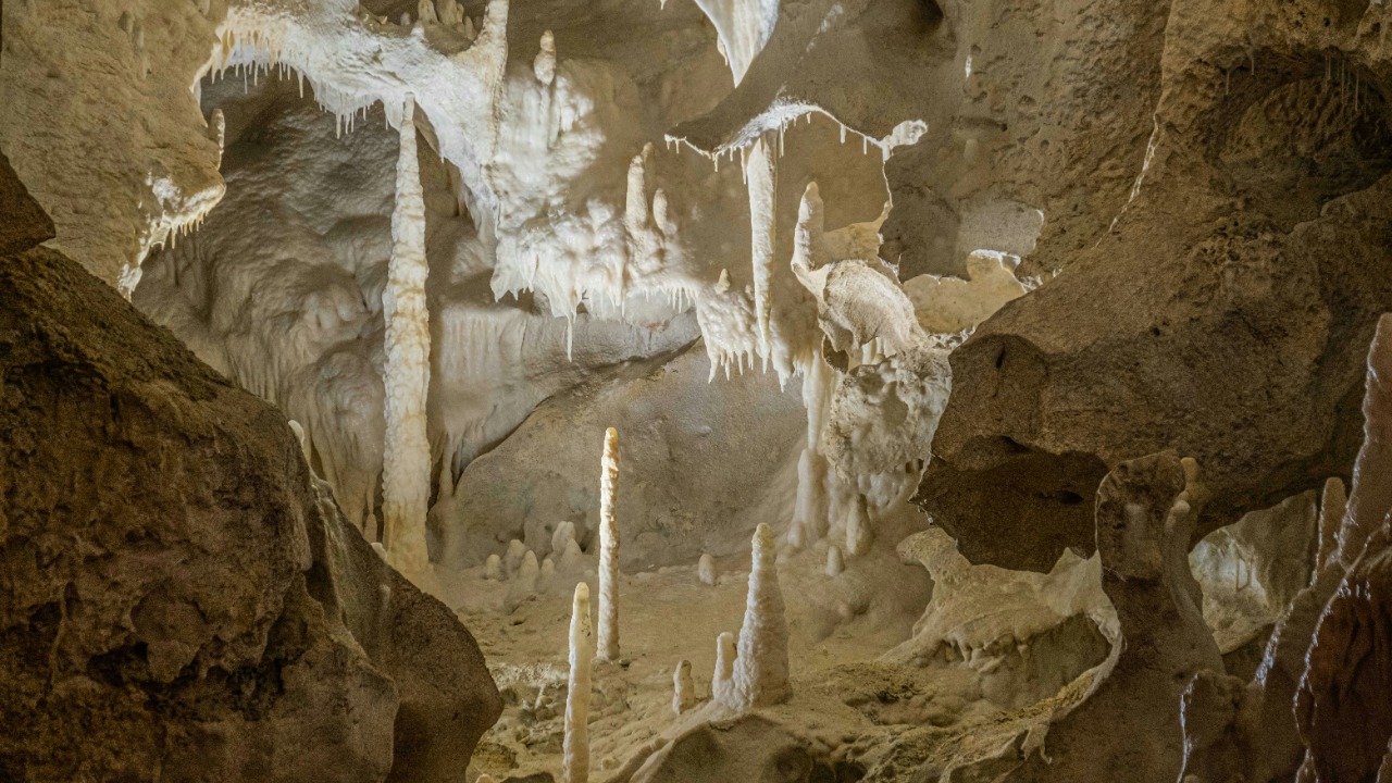 francesco_ungaro/Unsplash