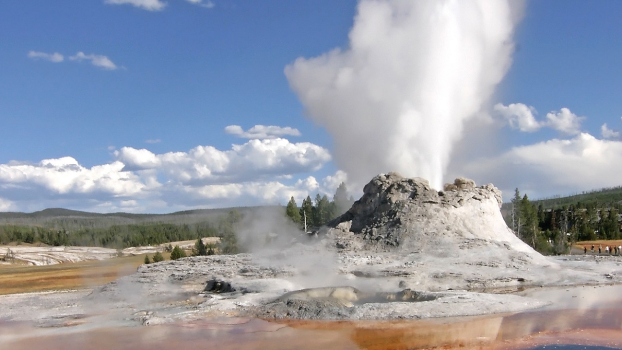 Image Credit: user: Flicka, Edited (Sharpening - Downsampled) by Arad Mojtahedi. - CC BY-SA 3.0/Wiki Commons