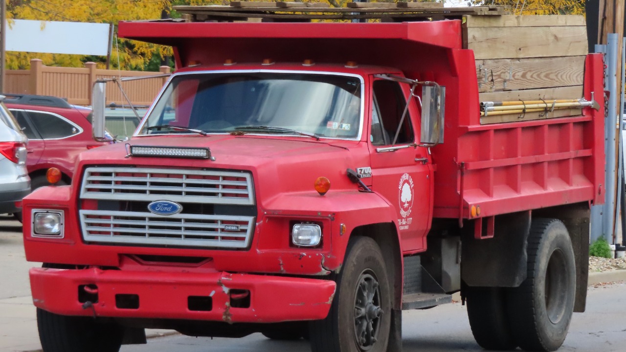 Image Credit: MercurySable99 - CC BY-SA 4.0/Wiki Commons