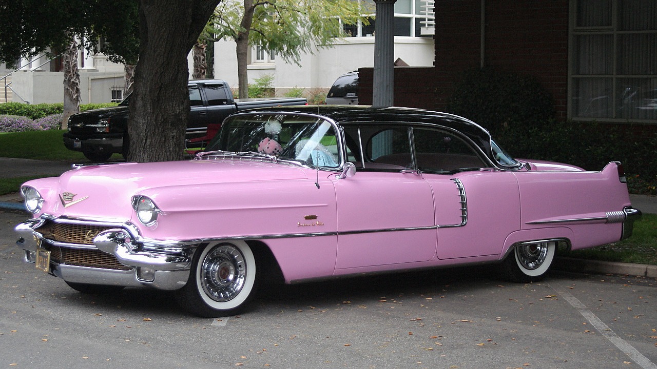 Image Credit: Rex Gray - CC BY 2.0/Wiki Commons