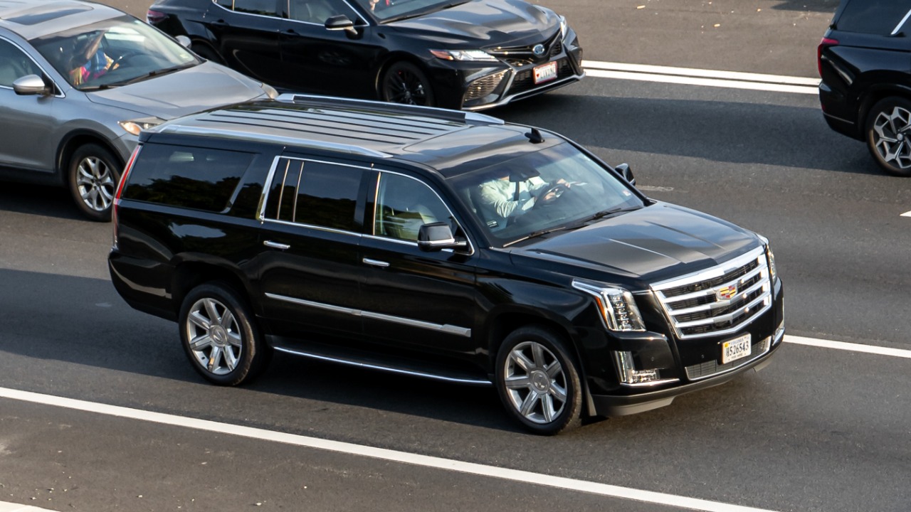 Image Credit: OWS Photography - CC BY 4.0/Wiki Commons