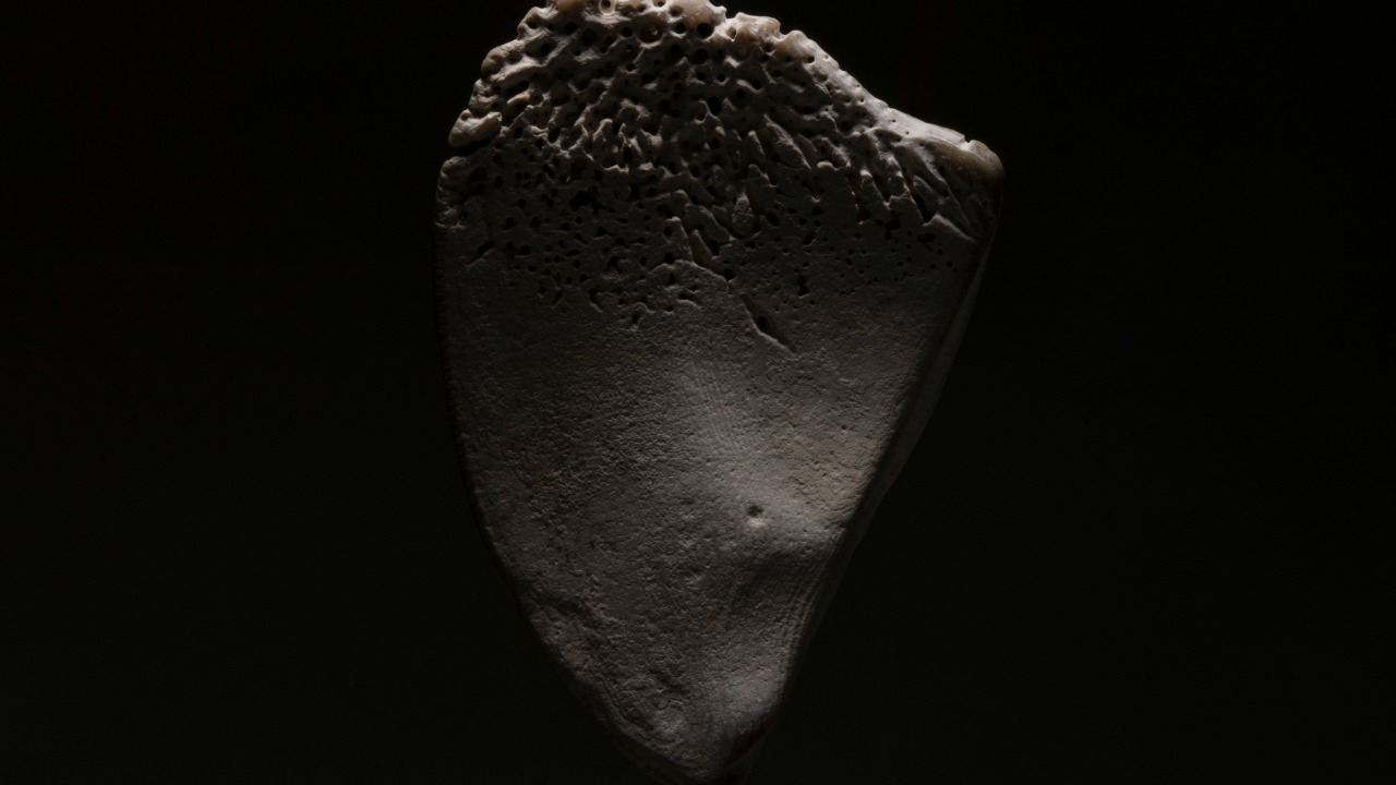 epricephoto/Unsplash