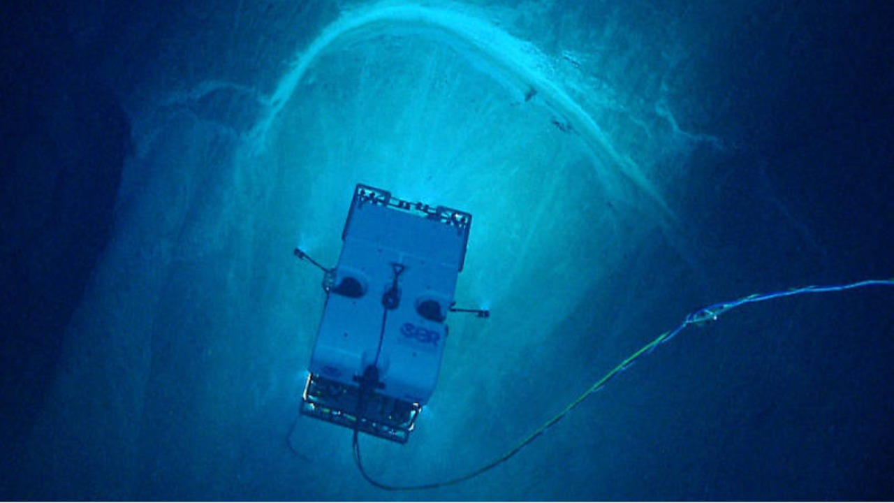 Image Credit: NOAA Office of Ocean Exploration and Research, Océano Profundo 2015: Exploring Puerto Rico’s Seamounts, Trenches, and Troughs - Public domain/Wiki Commons