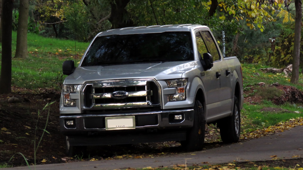 Image Credit: RL GNZLZ from Chile - CC BY-SA 2.0/Wiki Commons